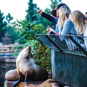 RDV pris pour vos activités animalières