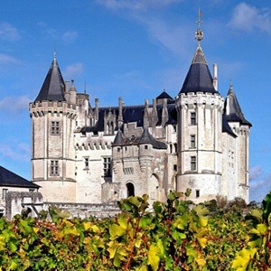 Les vignes du Château de Saumur classé monument historique et inscrit sur la liste du patrimoine mondial de l'UNESCO